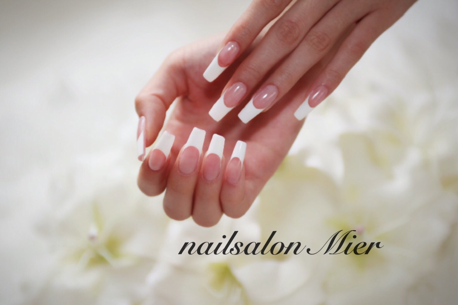 Mier Nail Myuvipp Twitter