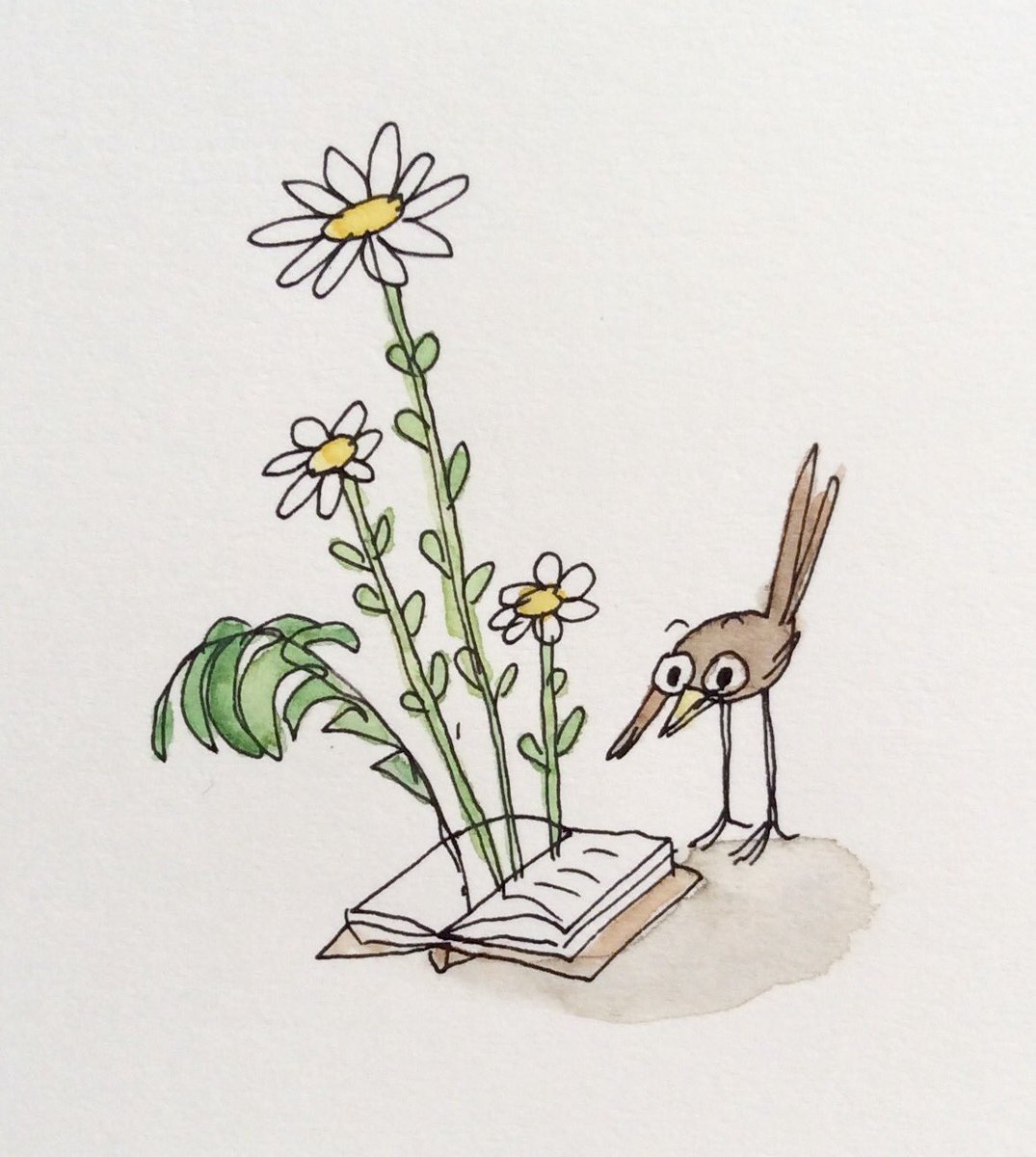 NiciGregory's tweet image. Get your beak in a book...
#WorldBookDay