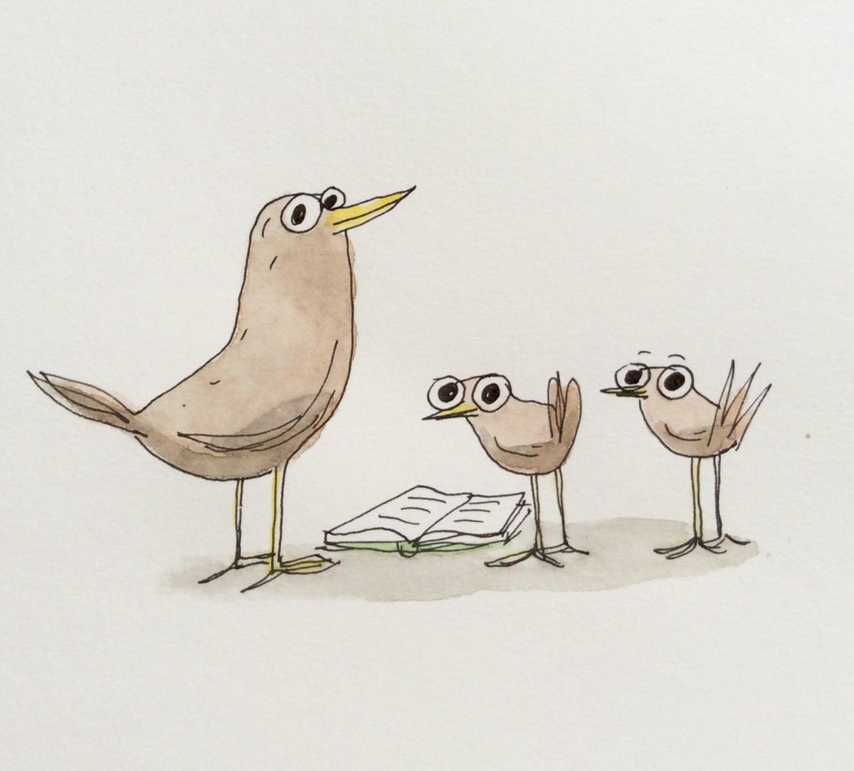 NiciGregory's tweet image. Get your beak in a book...
#WorldBookDay