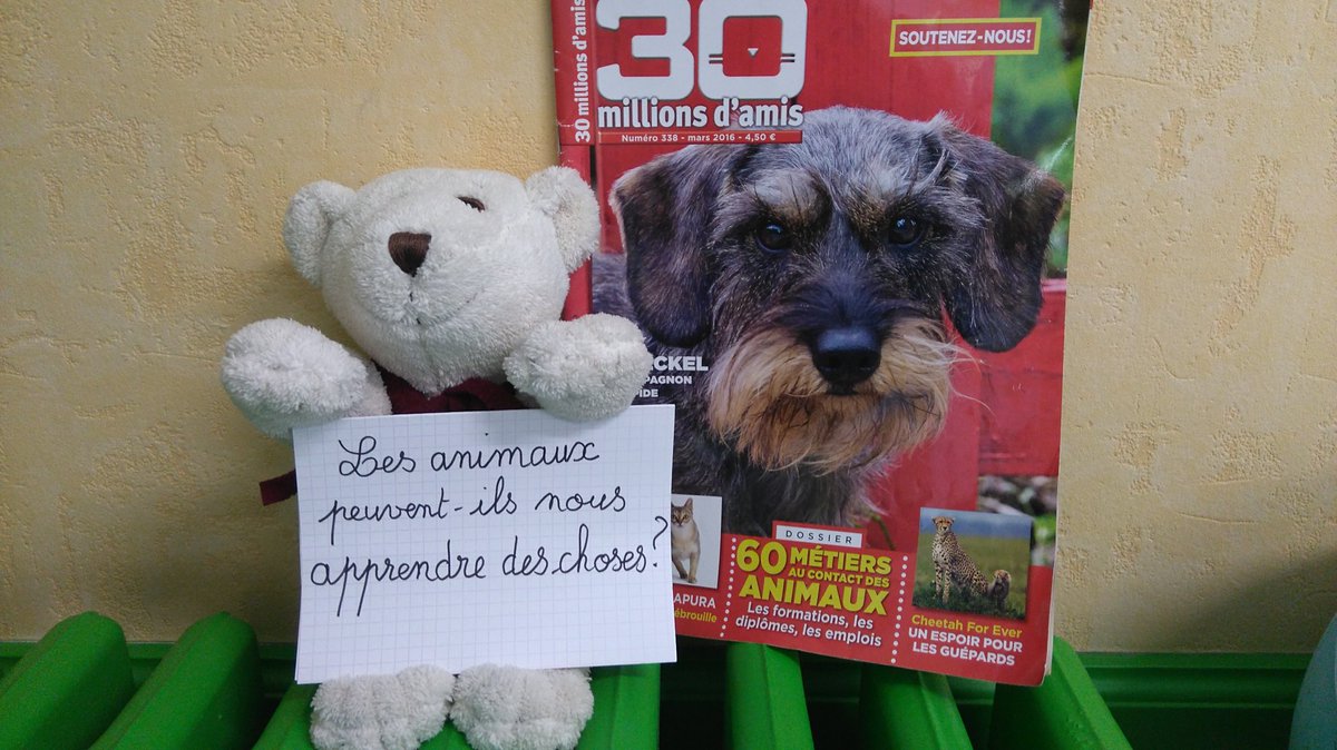 ecard18170's tweet photo. @petitsphilous18 @cdupuy5 Aujourd'hui, réflexion 💭 sur "Les animaux peuvent-ils nous apprendre des choses?" https://t.co/F0Or2OAd9o