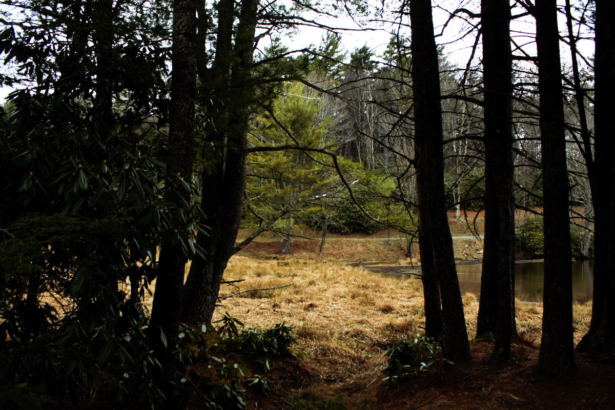 AlanRayProd's tweet image. Some photos we took the other day that we really enjoy 🙂
#photos #photography #blackandwhite #colors #colorful #beautiful #pretty #gorgeous