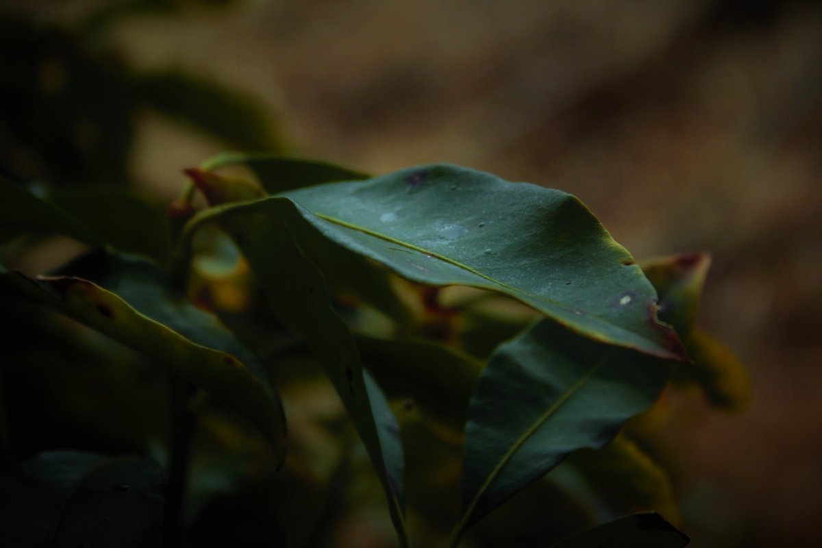 AlanRayProd's tweet image. Some photos we took the other day that we really enjoy 🙂
#photos #photography #blackandwhite #colors #colorful #beautiful #pretty #gorgeous