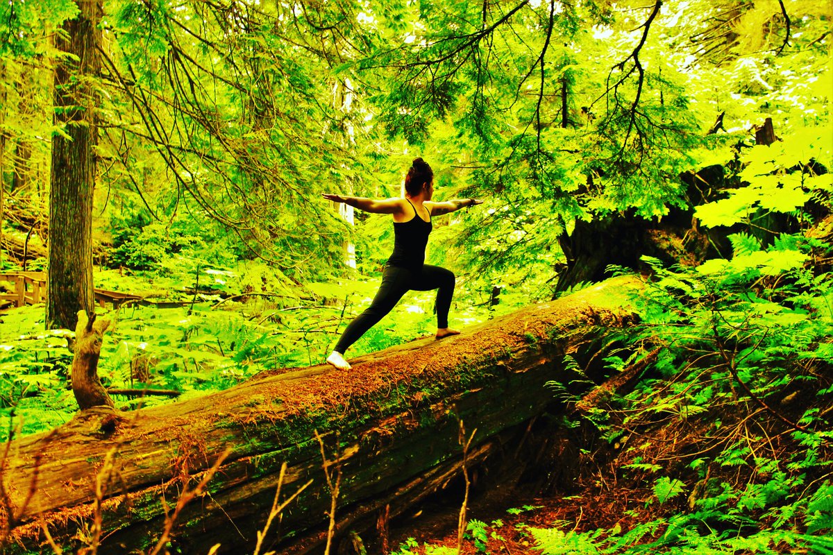 HolisticBrooke's tweet photo. Virabhadrasana B #warriorII #yogaeverydamnday #yogaandnaturemakemehappy https://t.co/zjRXVpLR7s