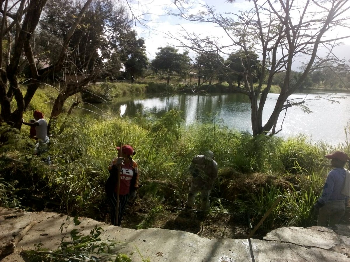 CiudadSBelen's tweet photo. Gestión del Alcalde @RodolfoSanzPSUV junto  cuadrillaCiudadBelén recuperan espacios de la laguna Casarapa #Guarenas https://t.co/r8kpXkUyrA