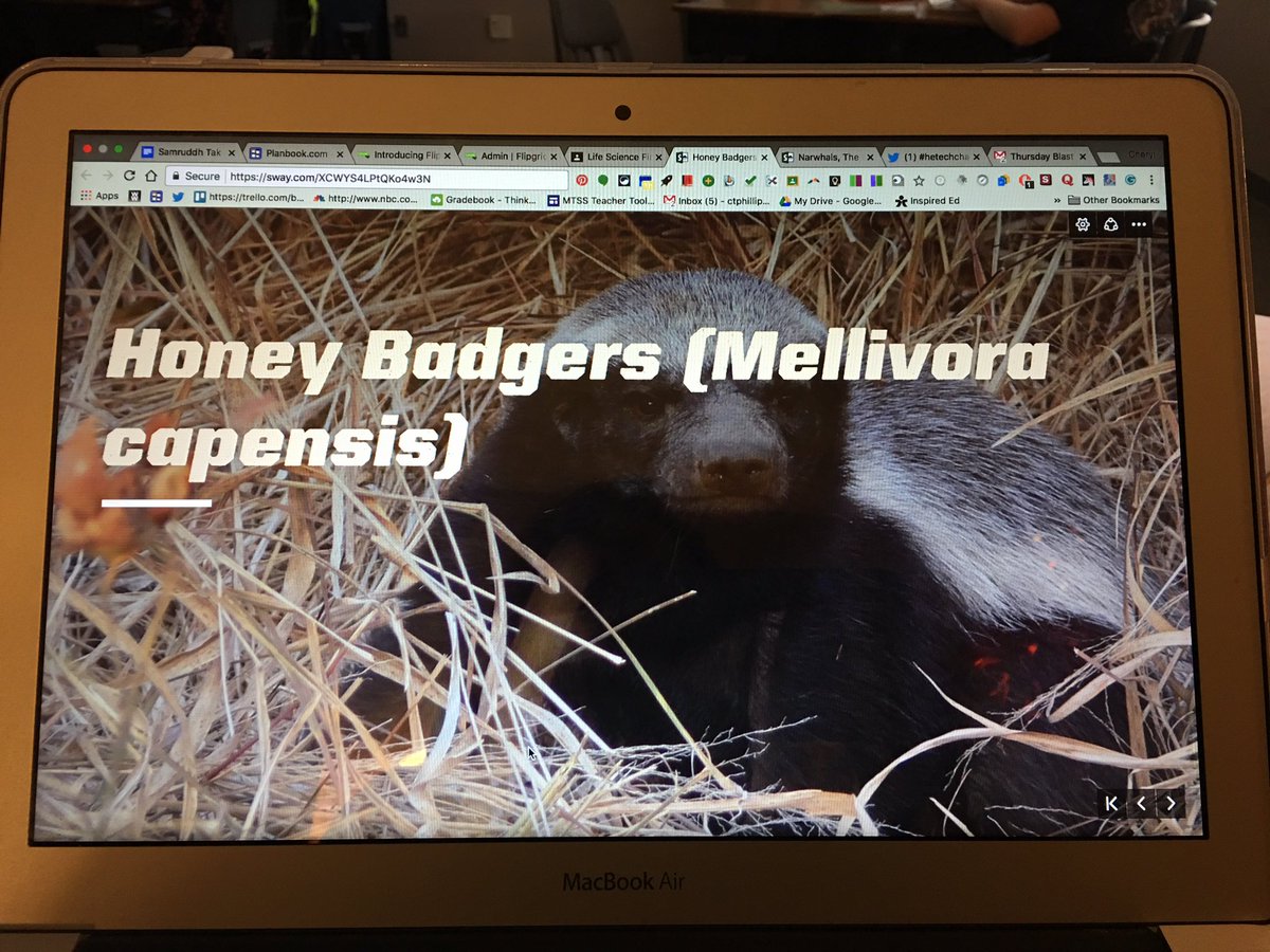cphillips431's tweet photo. Life Science classes using Sway to show interactions between biotic and abiotic. #hetechchallenge https://t.co/Rzvsc8jb6N