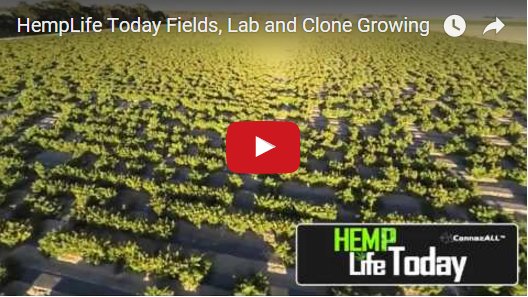 goatcleaning23's tweet photo. Quality CannazALL™ CBD Products By HempLife Today... Because Hemp ~IS~ Health! https://t.co/2VFuoysLHR #CBD https://t.co/2VHCkjIZzO