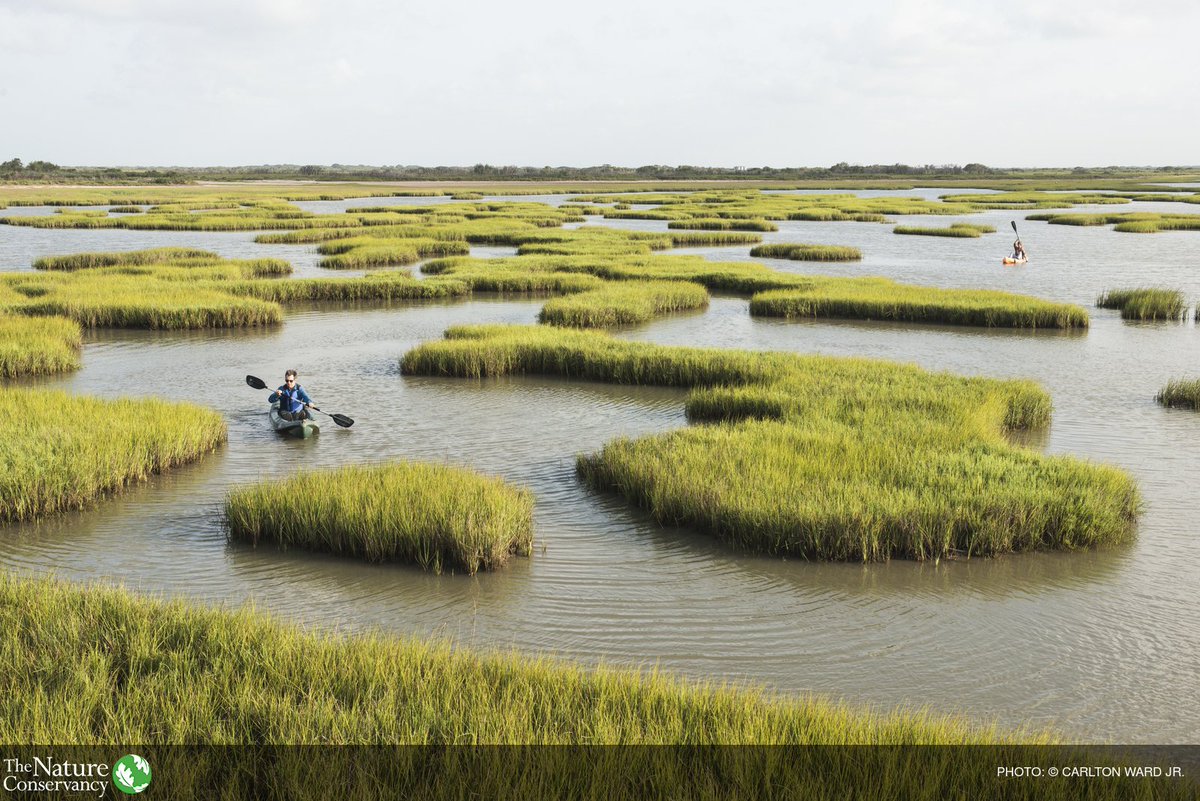 nature_org's tweet photo. Conserving the United States' natural resources is not a partisan issue, nor is it a luxury: https://t.co/c8kgYAf0eK https://t.co/0PMnwVOkUa