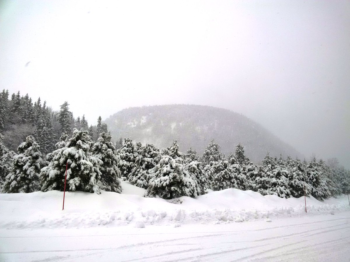 DestinationNB's tweet photo. ❄️Some pictures from #SugarloafNB. Looks like they got some snow today, eh?
#NBParks🏞️ | #ExploreNB https://t.co/cYGWWOc7z6