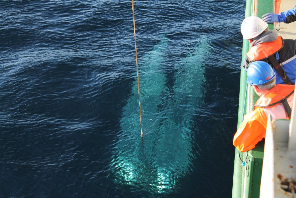 Interested in our new Fisheries Science (Fisheries Science and Technology) Master of Science Degree Program? ow.ly/60SE309w6Eg