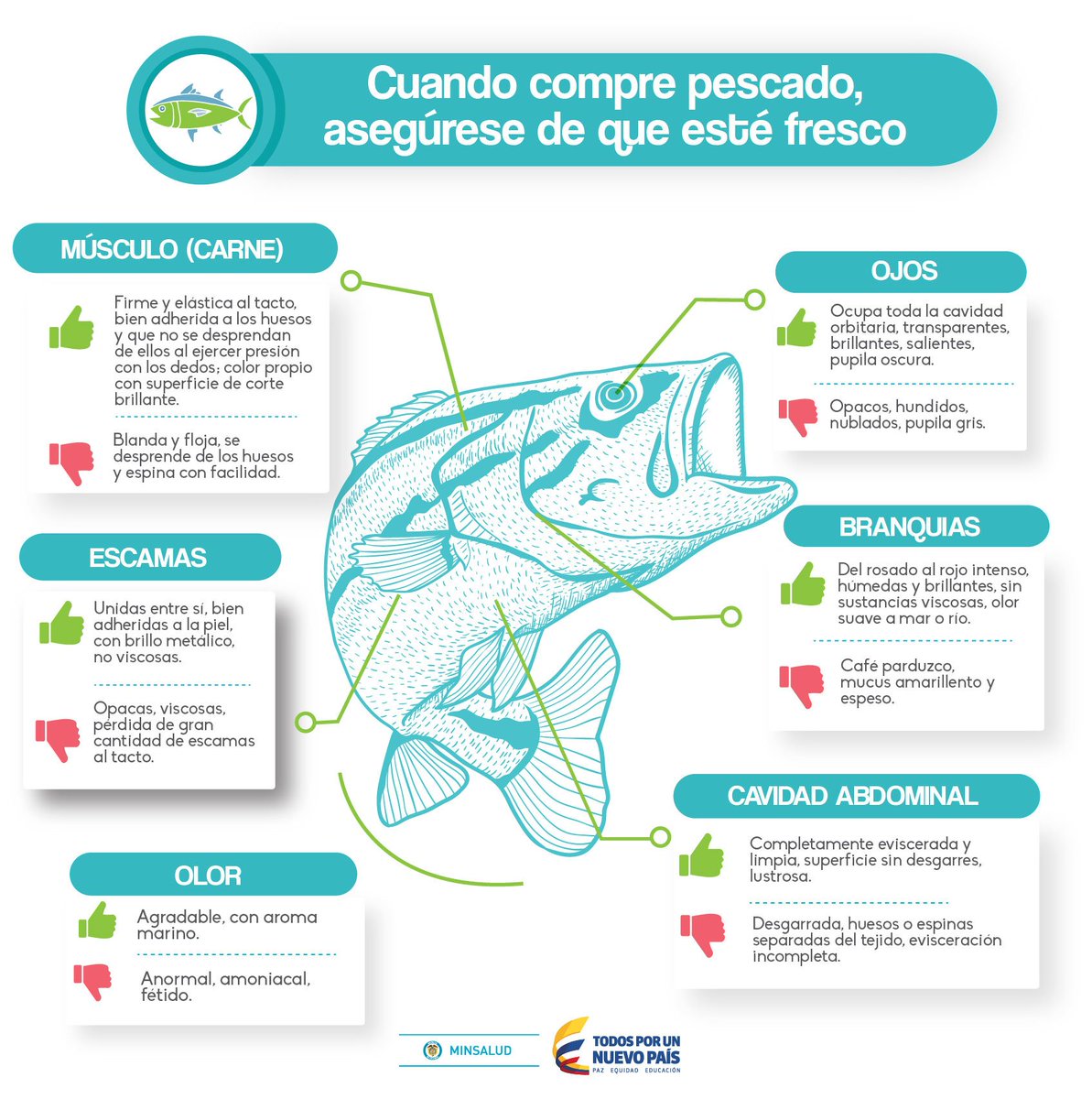Prevenga enfermedades por consumo de pescados y mariscos en mal estado. ow.ly/JIFR309w9KT