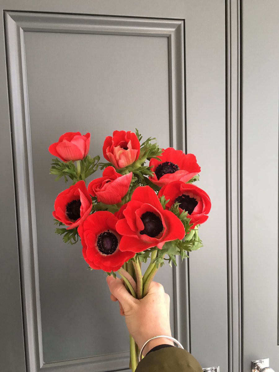 Hi Girls!!! 👠🦀🌹🍉🍎#canyoubelievethishasnofilter #anenomes #apopofcolour #underthefloralspell