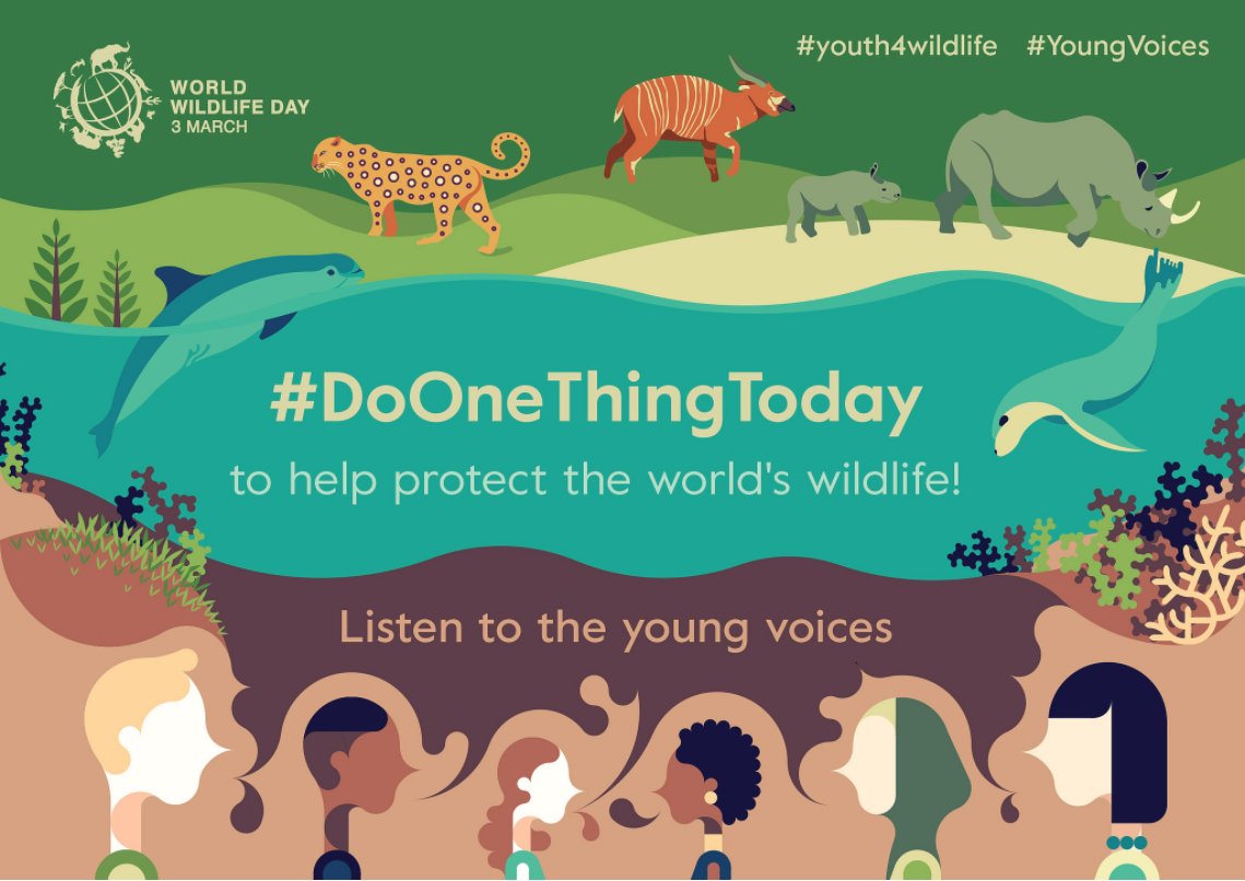 Durrell Wildlife Conservation Trust on Twitter: Durrell Wildlife Conservation Trust on Twitter: