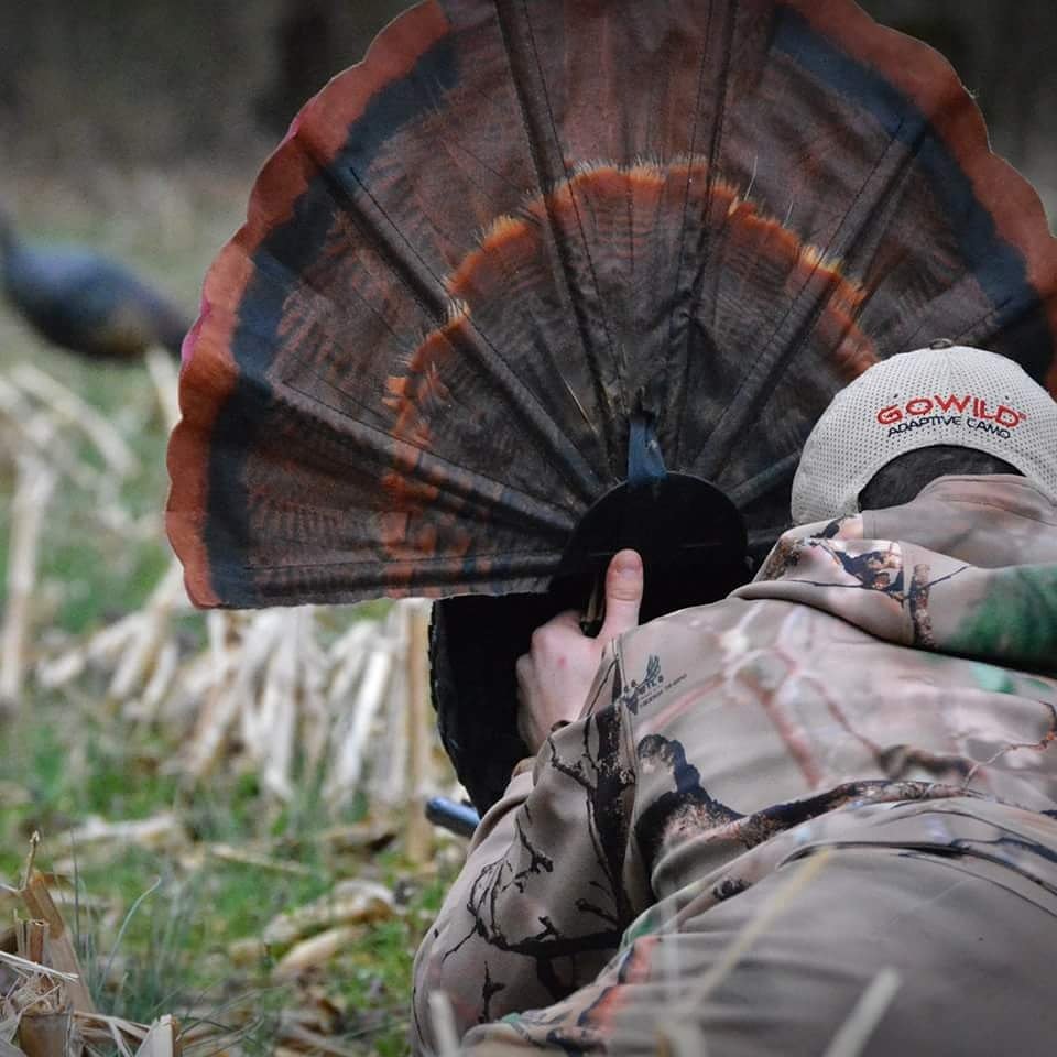 GO Wild Camo tweet media