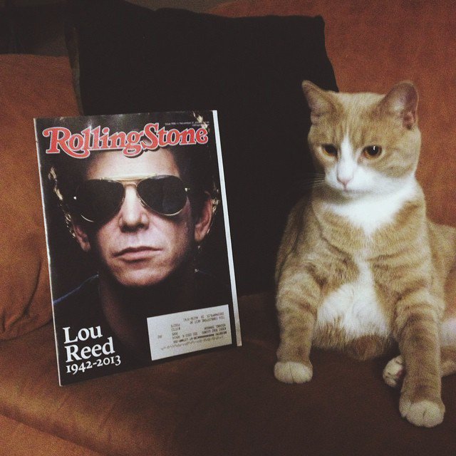 Happy Birthday Lou Reed. My cat is named after you, and he has lived up to expectations 