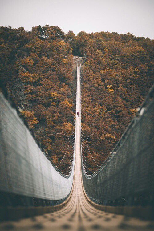 Tumblria's tweet photo. Me encanta estos lugares 😍🌲 https://t.co/VLyk1IZN6M