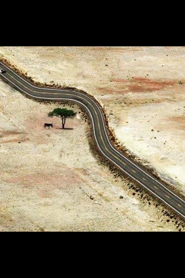 smart1800's tweet image. 