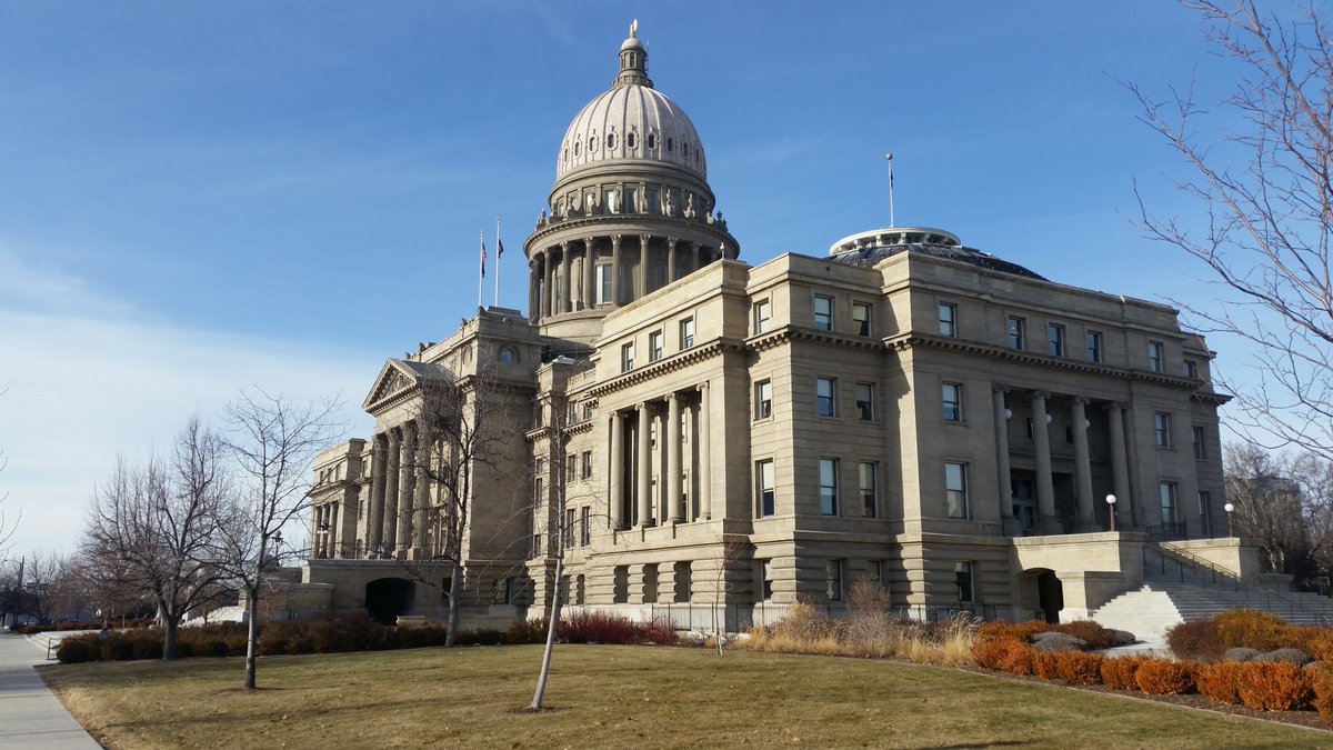 Janie Ward-Engelking tweet media