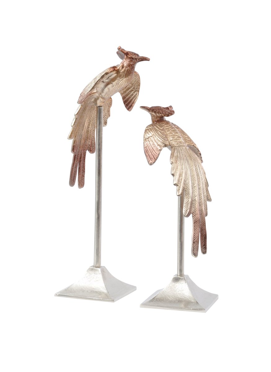 Redvers Home tweet media