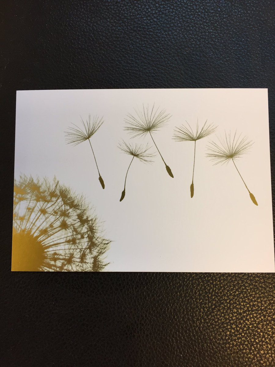 Eigen kaart toegevoegd aan de #rouwkaarten #condoleancekaarten. Ontwerp wederom van <a href="/meneerdewit/">meneer DE WIT</a>