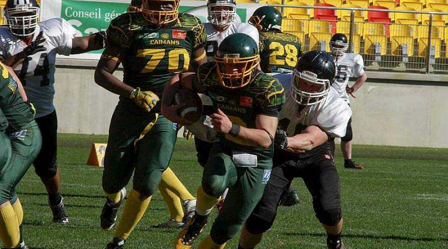 Les Caïmans 72 privés de MMArena dlvr.it/NWhSpg