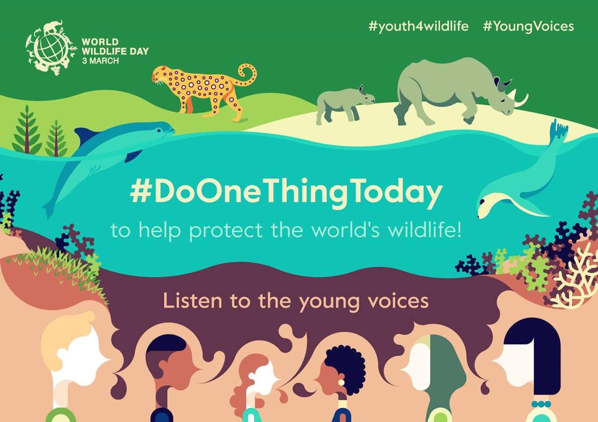 UN's tweet photo. Friday is #WorldWildlifeDay. #DoOneThingToday &amp; every day for wild creatures &amp; places. https://t.co/tySvapFv5X #Youth4Wildlife https://t.co/DUmzdYoj3x