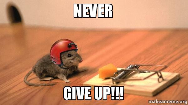 DontBeForeign's tweet photo. Darse por vencido --> Give up https://t.co/BCxEHhsUSo