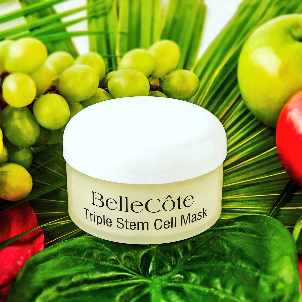 BelleCote Paris (BelleCoteParis) Twitter