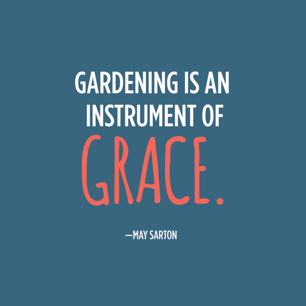 OrganicLifeMag's tweet photo. https://t.co/RpHOnpwqsZ