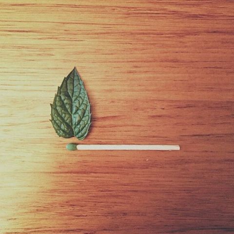 SPSSAnalysis1's tweet image. عوّد نفسك..أن تعمل بلا تشجيع وأن تنجز دون تصفيق وأن تثق بنفسك..بصرف النظر عن رأي الآخرين !

#ومضة_علم