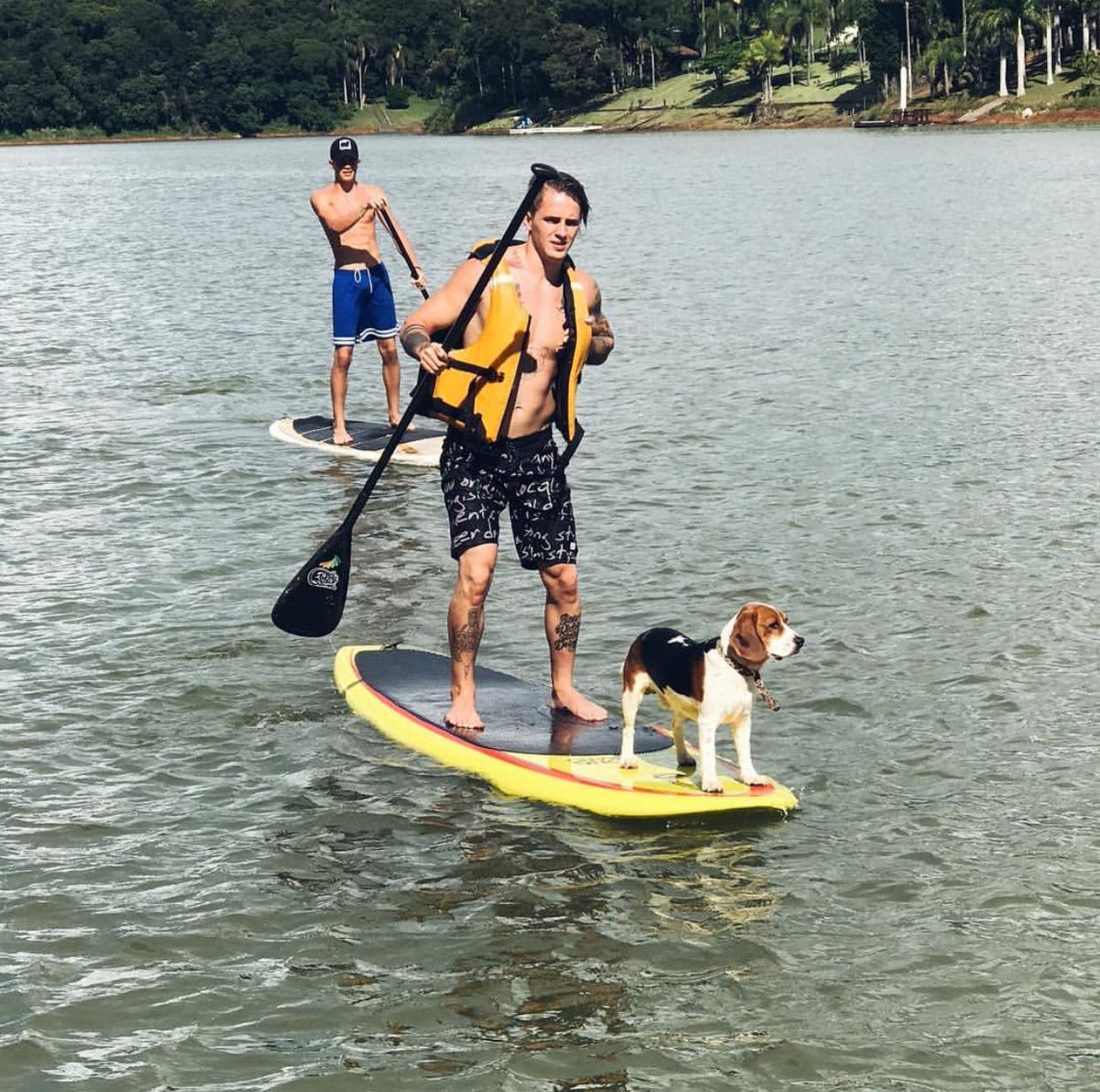 ProjetoHelpFly's tweet image. Últimas atualizações do Caíque (@GAMACAIQUE) em sua conta no Instagram.