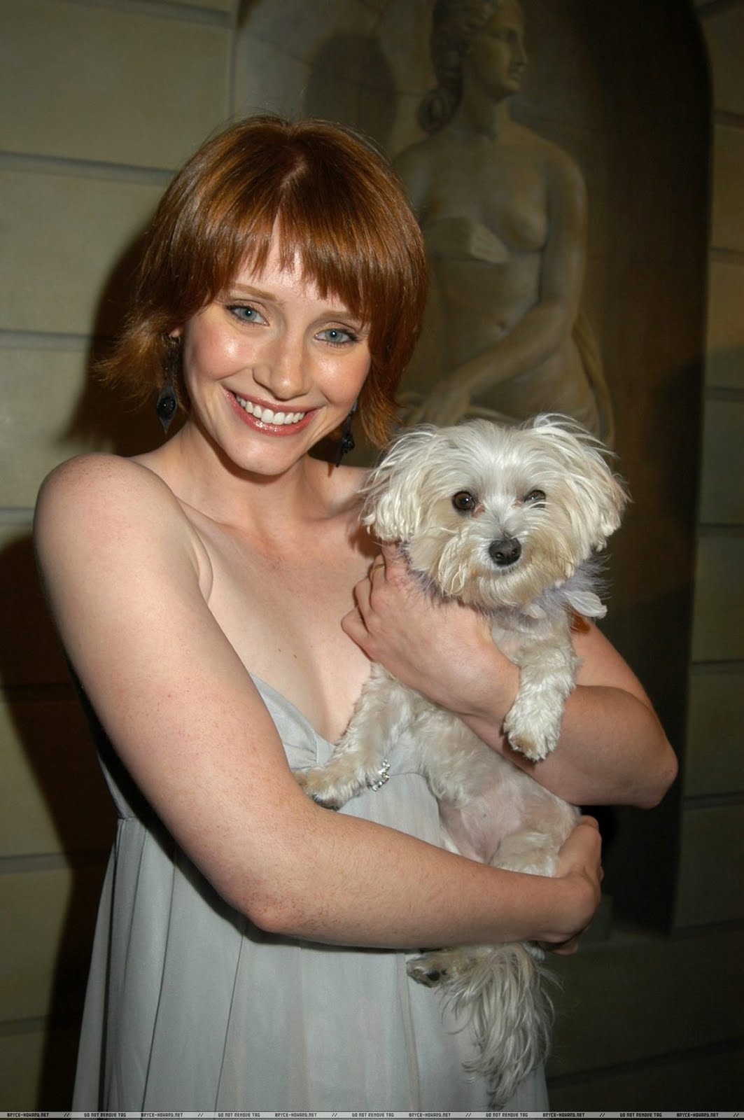 Happy birthday to writer, director and actor Bryce Dallas Howard!   