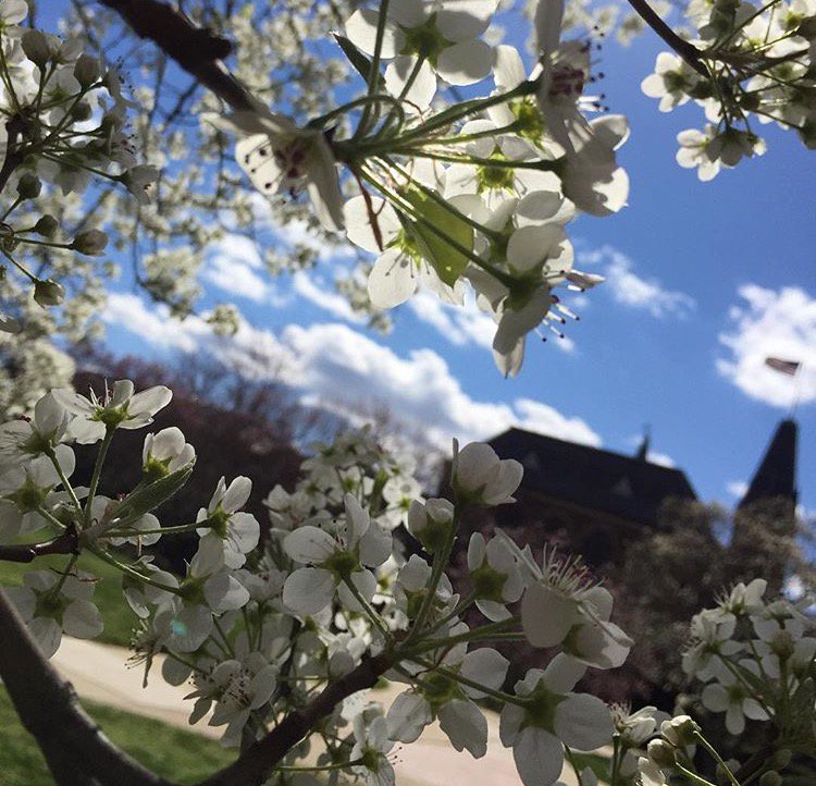 AccessProdGuide's tweet image. Another beautiful #spring day here in DC! Try to spend some time outdoors to support your #mentalwellness