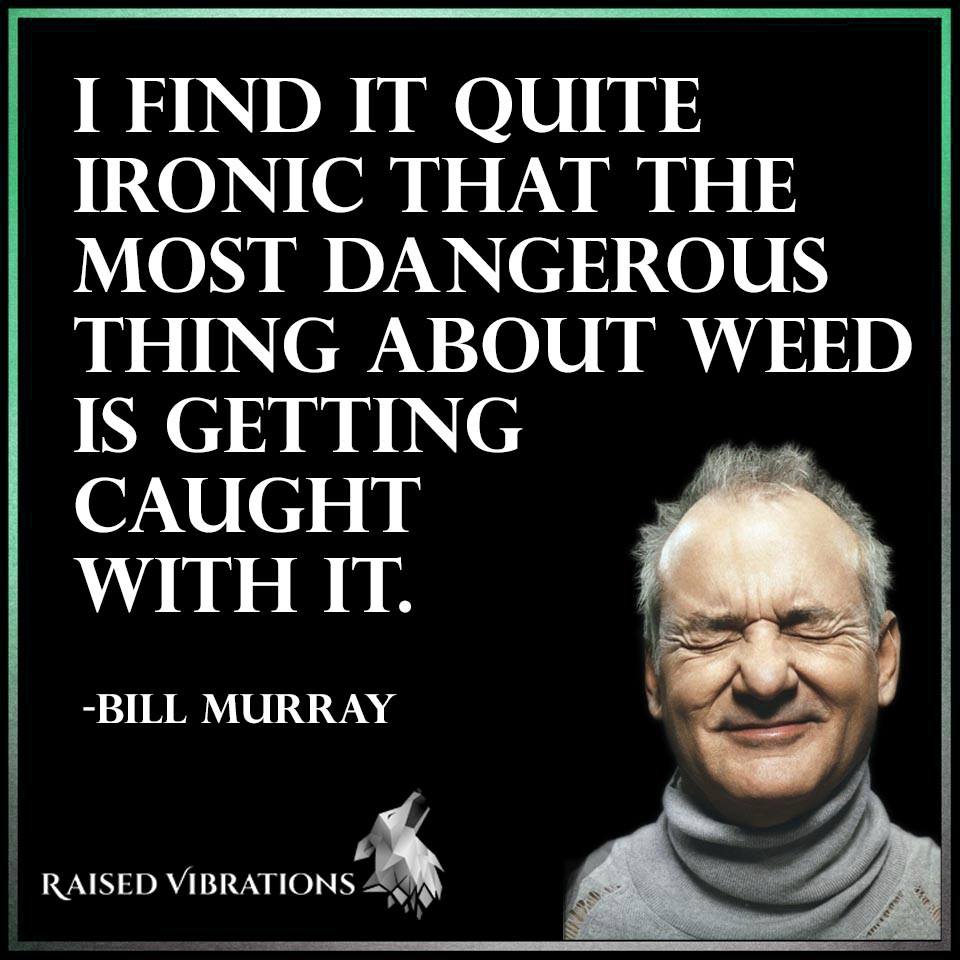 Mikethestoner_1's tweet photo. #True #Retweet if u agree @BiIIMurray @_jena4n @ERIIC419 @Piffenie @BigDaddyCane420 @EmeraldZoo @crazybatmanfan @steveotoland420 @boobsNweed https://t.co/hfFWIxHw2z