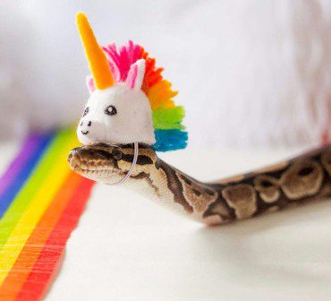 pibesdesistemas's tweet image. Políticos durante las campañas electorales