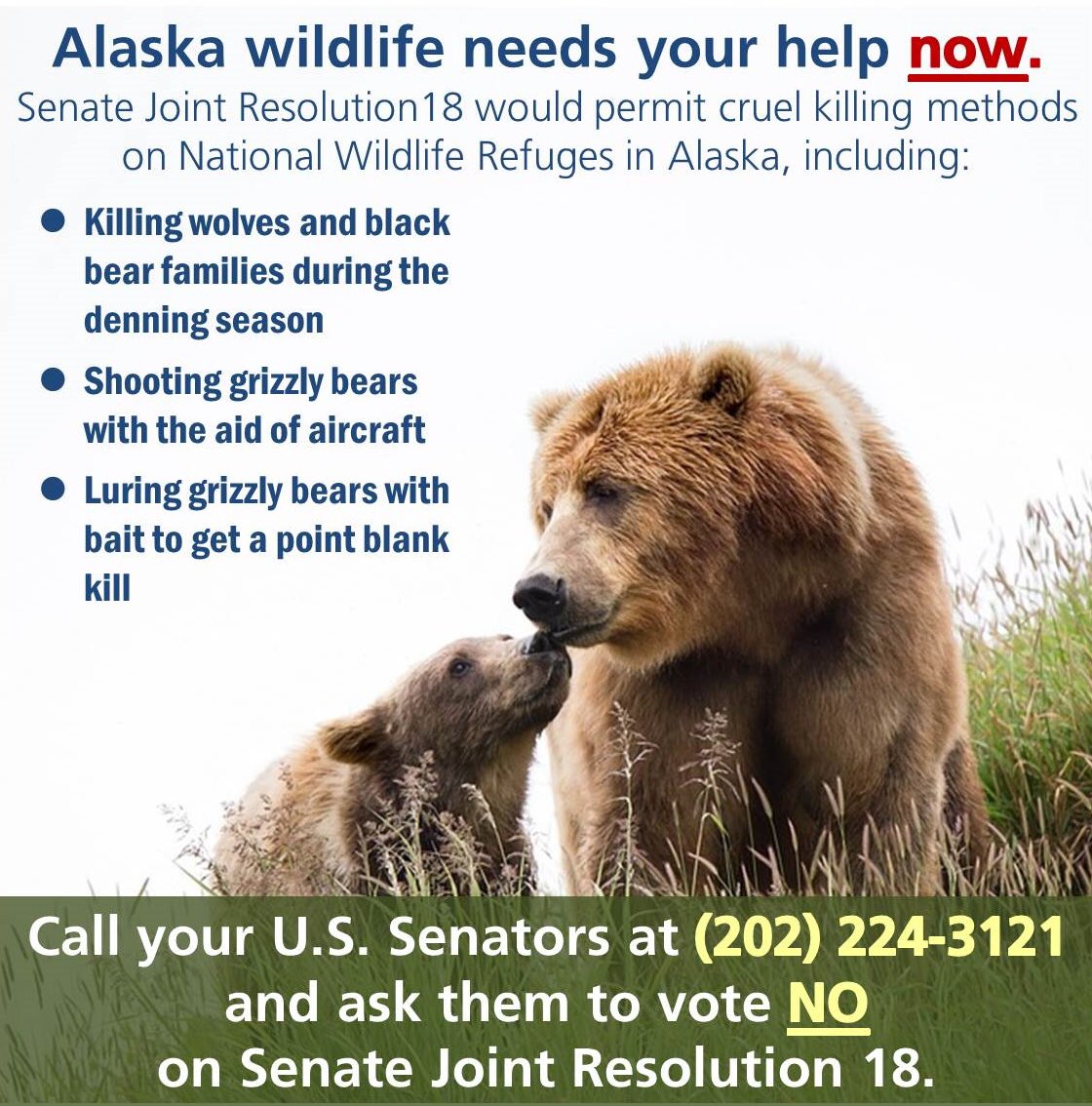 iansomerhalder's tweet image. To @SenJohnKennedy @BillCassidy: from 1 Louisianan to another, I implore you to vote #NoOnSJR18. Wildlife on national refuges are sacred.