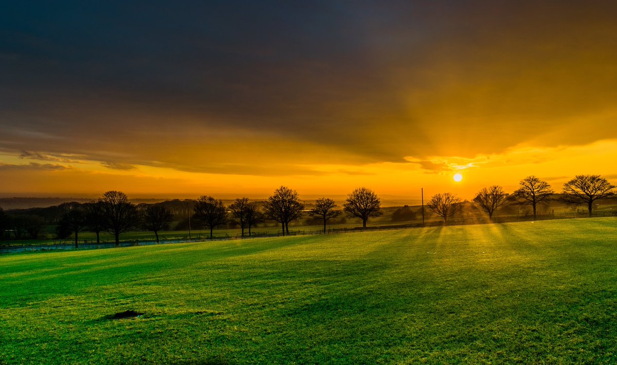 Hoping for some good weather soon so I can start work on my project for <a href="/Lancswildlife/">Lancashire Wildlife Trust</a> and get them some shots like this. #NobEndInFocous