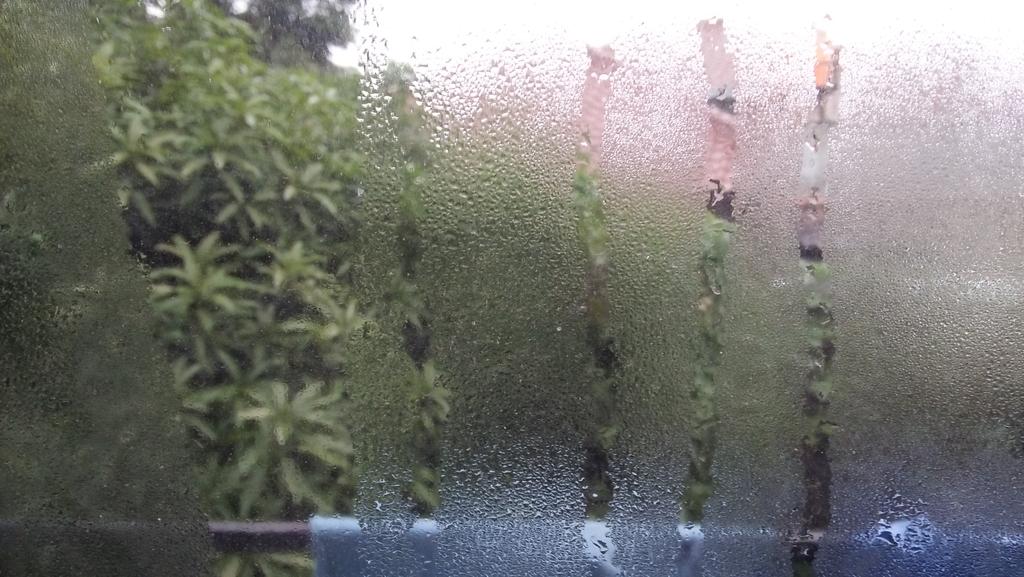 instansst's tweet photo. Pagi kunikmatkan kopi diudara sejuk
#bandung
#uinbdg https://t.co/j1SFayhqnY