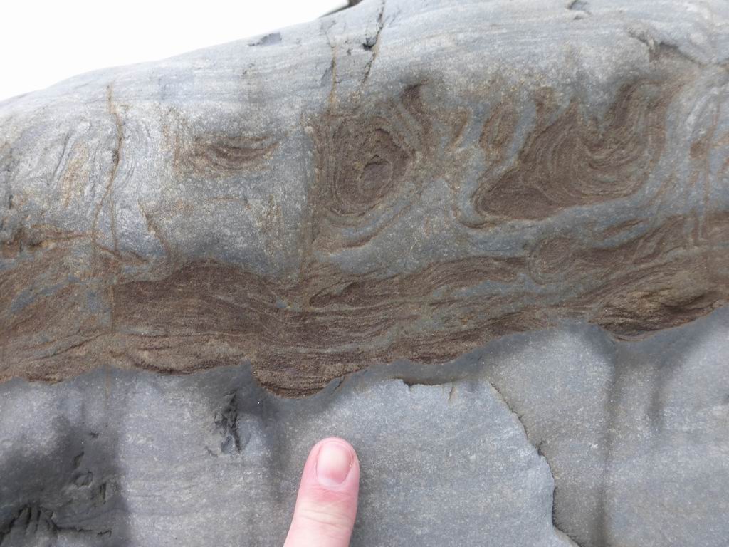 Similar spacing of basal flutes and convolute folds in Aberystwyth Grits #turbidite Aberaeron <a href="/swanseageog/">Swansea Geography</a> @swanscience