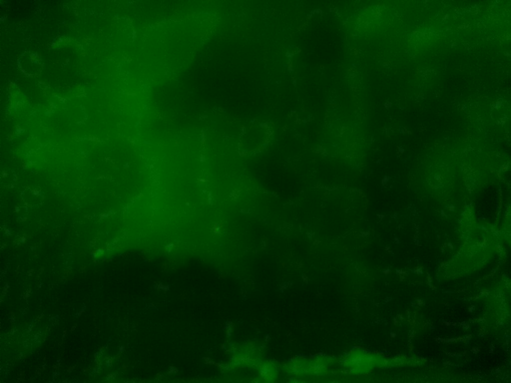 ClassBytesPiBot's tweet image. Bot-tweet from Aqua Dragons PiCam: 2017/03/02 18:00:02