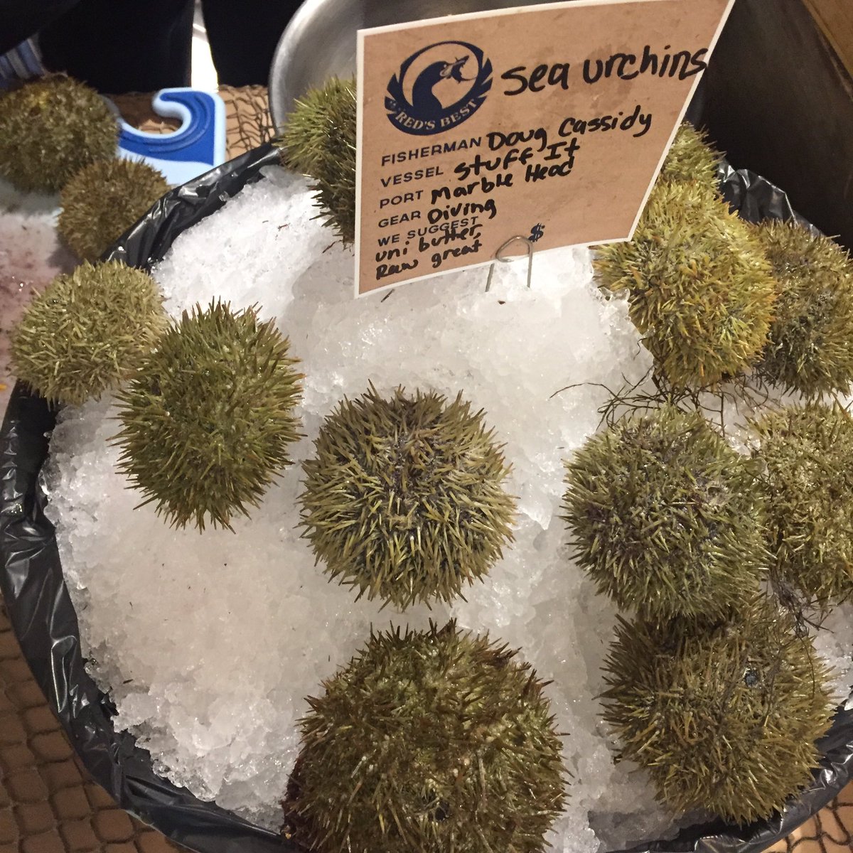 gabriellalepage's tweet photo. Thank you for the best Thursday night, @BosPublicMarket! 😍💕 #BPMopenhouse https://t.co/yuWMYLpnu9