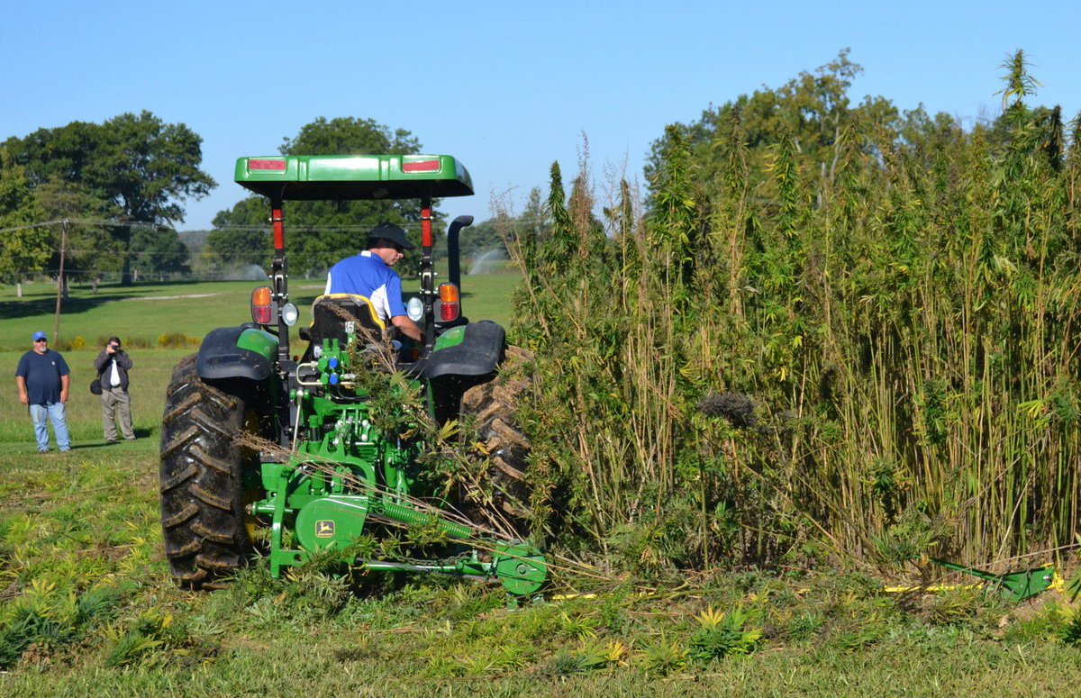 New_Green_Daily's tweet photo. Analysis | #Virginia Republican introduces bill to end federal #marijuana #prohibition https://t.co/G4iLhcycpA #legalize #medicalmarijuana https://t.co/pfY47r5DIg