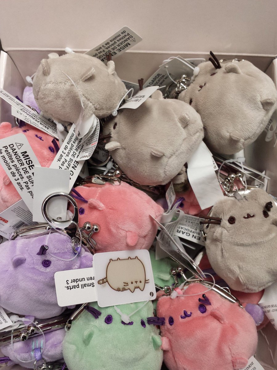 ToyShopPtbo's tweet photo. New Pusheen from Gund is in! #Ptbo https://t.co/jVM6Wto5Qh