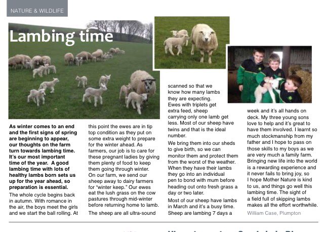 will_case's tweet photo. I wrote a bit about lambing.... https://t.co/donGmqebN3