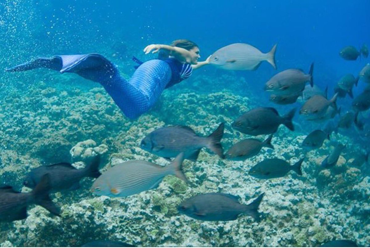 merAssociation's tweet image. PRIVATE OR GROUPS SWIMMING TRAINING CAMPS 
MERMAID INSTRUCTOR CERTIFICATION COURSE 
​mermaidingassociation.com/summer-mermaid…