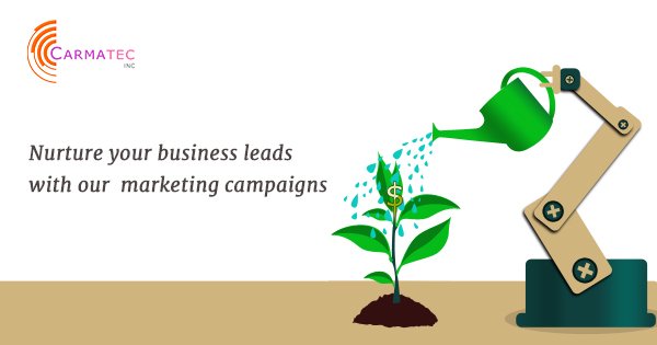 lavanya03091's tweet photo. Nurture your business leads with our automated and targeted marketing campaigns. https://t.co/IQo1QiN1DV #startups #business https://t.co/c4OqUw3cIu
