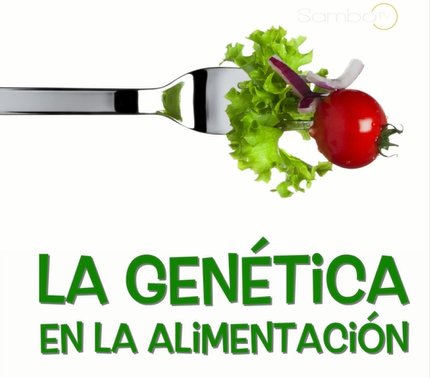 SambotvEC's tweet photo. (VIDEO) ¿UNA DIETA SEGÚN TU GENÉTICA?: Descubre de qué se trata este innovador proceso #dieta #genética #genes #comida #food #salud #health https://t.co/HnVitBnzYm