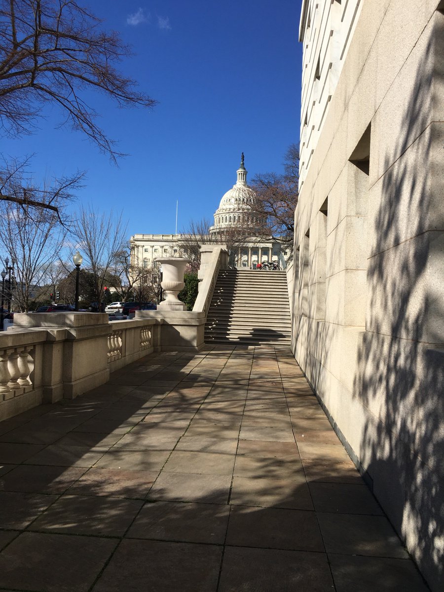 Floridarail's tweet photo. #FreightRail trains #RailDay2017 https://t.co/CHy6TcDxSP