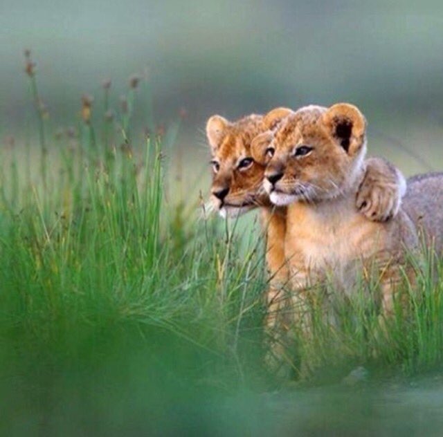 AmazingVD tweet picture