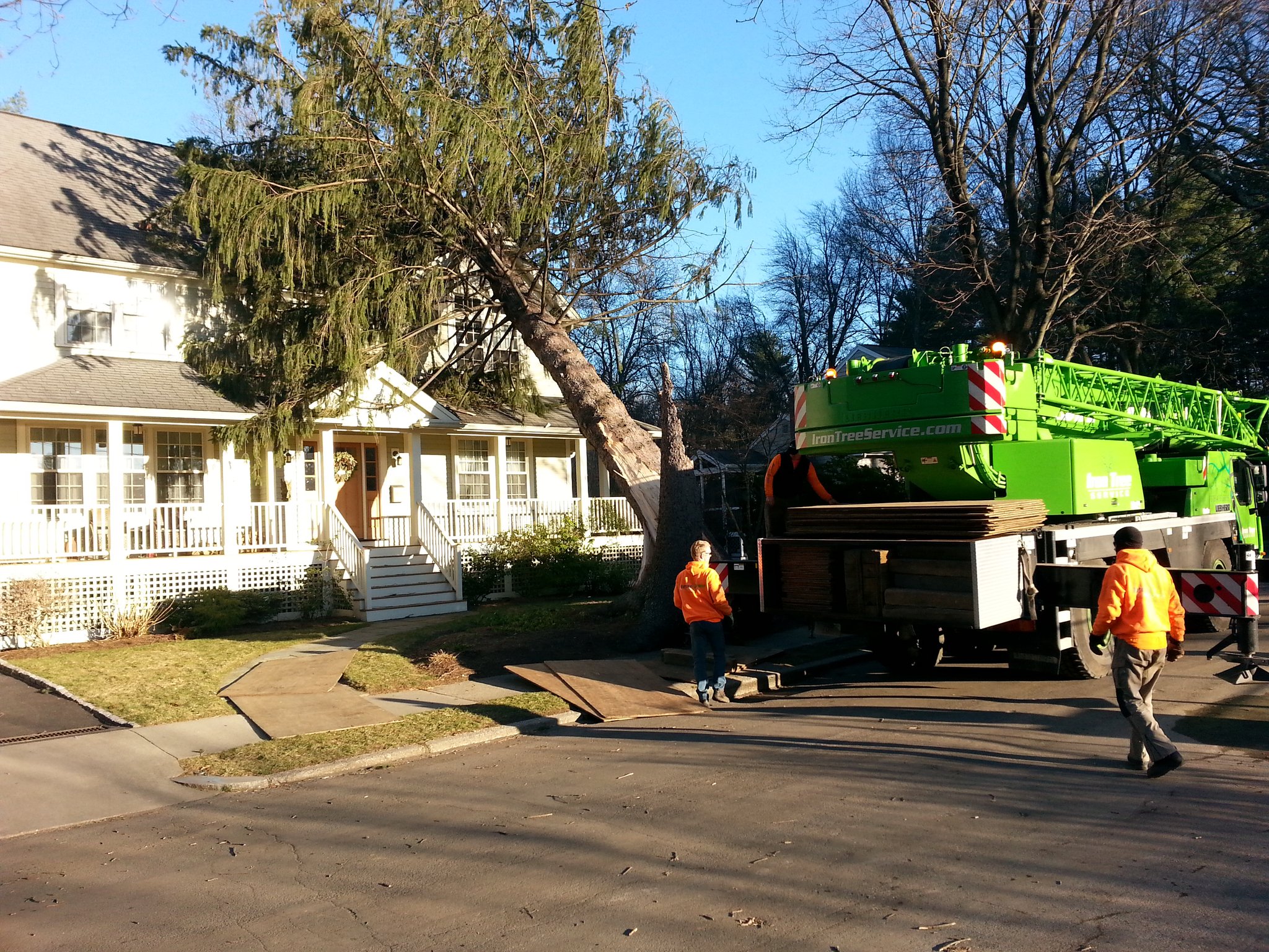 iron tree service owner