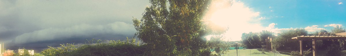 pedroalfonsoo's tweet photo. El árbol divide https://t.co/0RTHsZsdOA